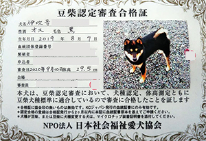 ��z��MS_��