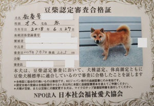 ��z��MS_��