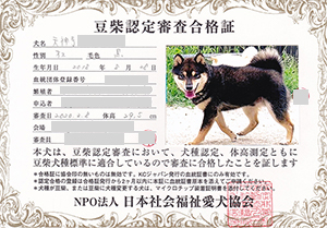 ��z��MS_��