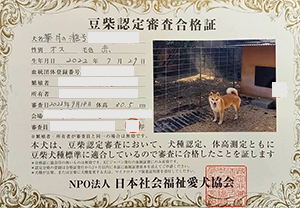 ��z��MS_��