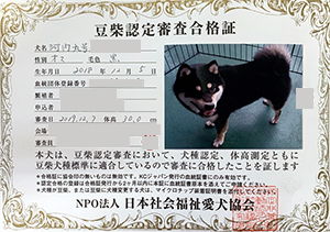 ��z��MS_��