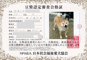 ��z��MS_��