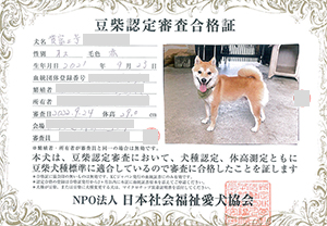 ��z��MS_��