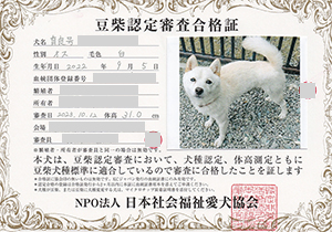 ��z��MS_��