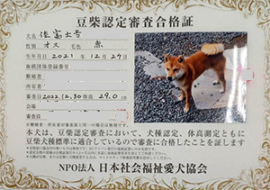 ��z��MS_��