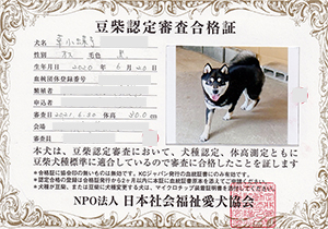 ��z��MS_��