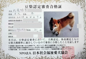 ��z��MS_��