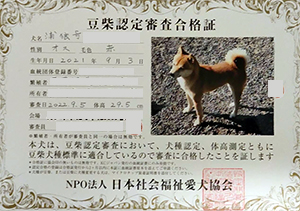 ��z��MS_��