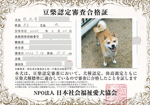 ��z��MS_��