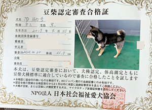 ��z��MS_��