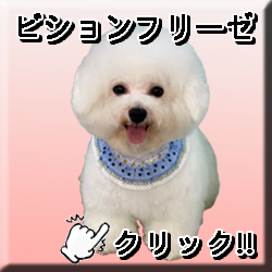 �����r�V����