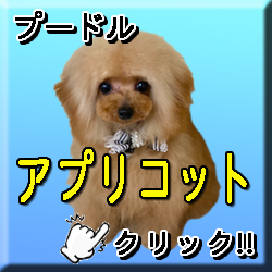 �����A�v���R�b�g