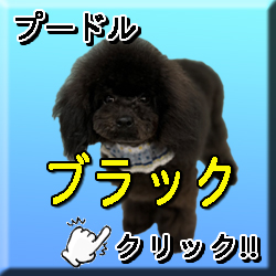 �����u���b�N