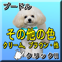 �������̑�