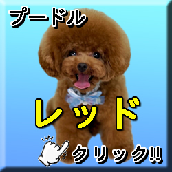 �������b�h