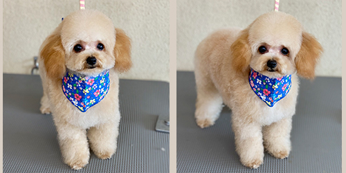 ��z��TP_�A�v���R�b�g