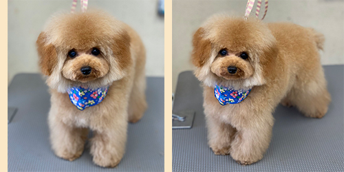 ��z��TP_�A�v���R�b�g