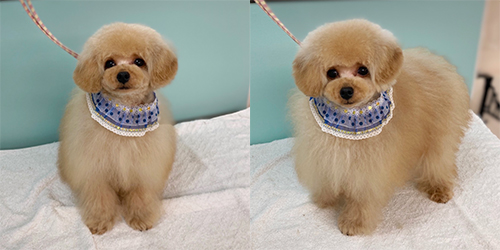 ��z��TP_�A�v���R�b�g