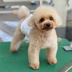 ��z��TP_�A�v���R�b�g