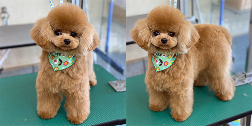 ��z��TP_�A�v���R�b�g