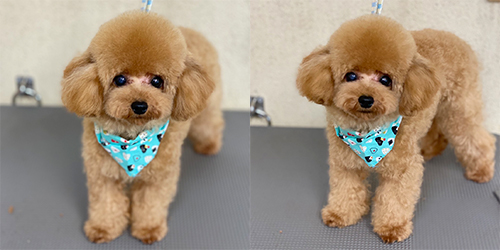 ��z��TP_�A�v���R�b�g