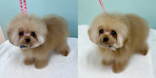 ��z��TP_�A�v���R�b�g