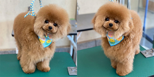 ��z��TP_�A�v���R�b�g