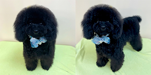 ��z��TP_�u���b�N