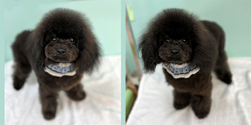 ��z��TP_�u���b�N