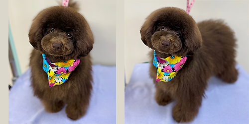 ��z��TP_�u���E��