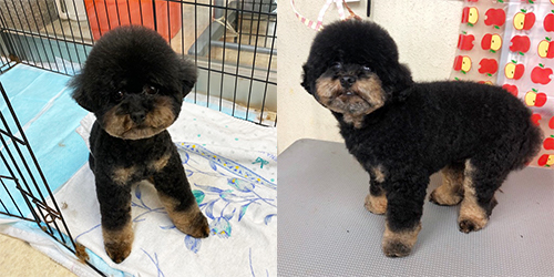 ��z��TP_�u���b�N�^��