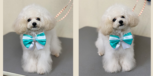 ��z��TP_�N���[��