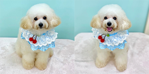 ��z��TP_�N���[��