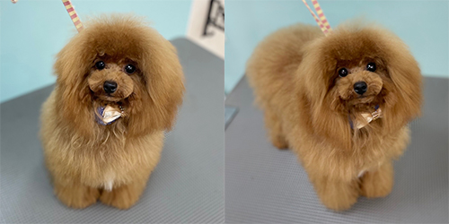 ��z��TP_���b�h