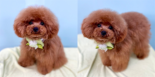 ��z��TP_���b�h