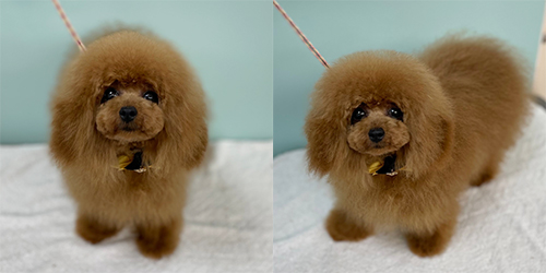 ��z��TP_���b�h