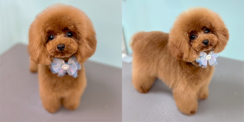 ��z��TP_���b�h