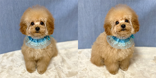 ��z��TP_���b�h