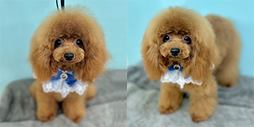 ��z��TP_���b�h