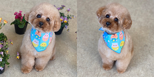 ��z��TP_���b�h