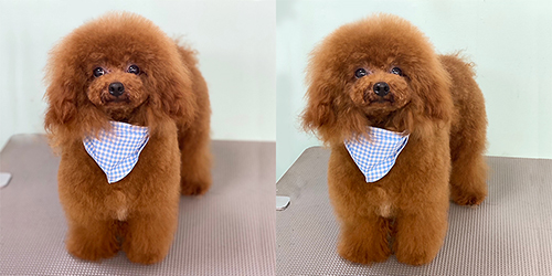 ��z��TP_���b�h