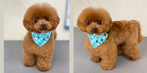 ��z��TP_���b�h