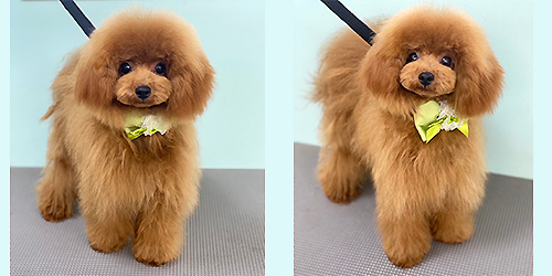 ��z��TP_���b�h