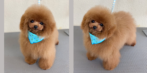 ��z��TP_���b�h