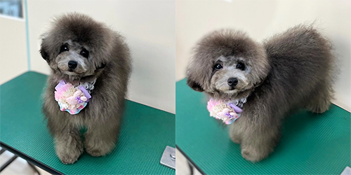 ��z��TP_�V���o�[