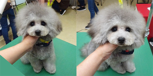 ��z��TP_�V���o�[