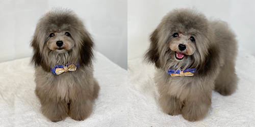 ��z��TP_�V���o�[