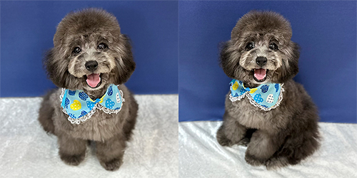 ��z��TP_�V���o�[