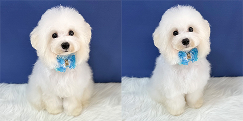 ��z��TP_�z���C�g