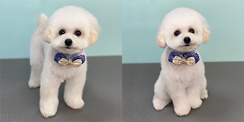 ��z��TP_�z���C�g